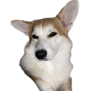 😏 emoji Сара Telegram sticker 23 of 105