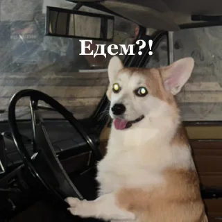 🚘 emoji Сара Telegram sticker 21 of 105