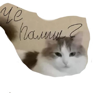 Sticker from Milka