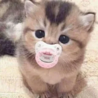 😘 emoji я и роберт Telegram sticker 7 of 11