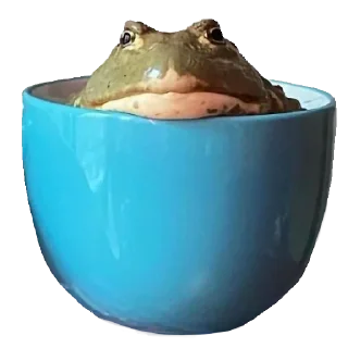 ☕️ emoji Жабычи и ляги Telegram sticker 21 of 120