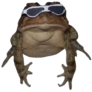 😎 emoji Жабычи и ляги Telegram sticker 16 of 120
