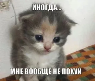 😮 emoji супер пупер стикеры Telegram sticker 21 of 29