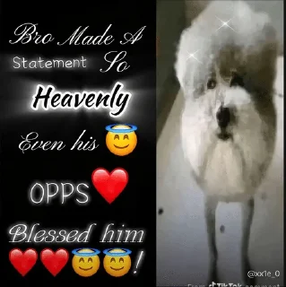 😇 emoji he made a statement 😭 Telegram sticker 24 of 39