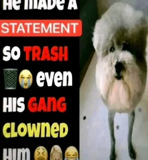 Sticker from he made a statement 😭