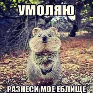 🥶 emoji Имба Telegram sticker 19 of 62