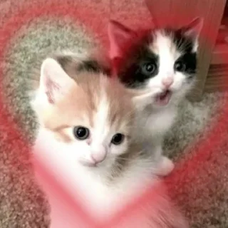 💞 emoji Кисики Telegram sticker 8 of 44
