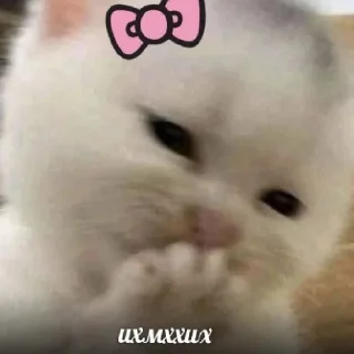 🤭 emoji Кисики Telegram sticker 19 of 22