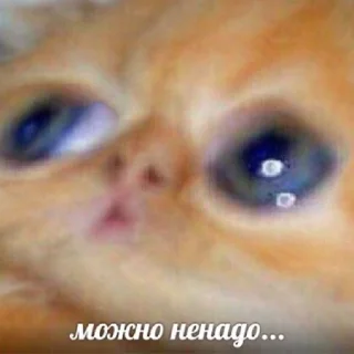 🙅‍♂️ emoji Кисики Telegram sticker 22 of 49