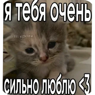 ❤ emoji Котеке Telegram sticker 20 of 40