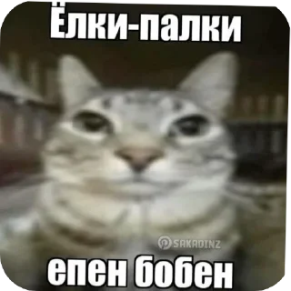 😥 emoji Котеке Telegram sticker 5 of 40