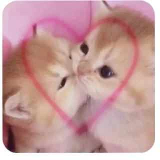 👖 emoji Love core Telegram sticker 19 of 38