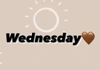 🤎 emoji @this_shpalero_manua Telegram sticker 15 of 27