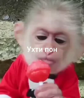 🌟 emoji Манки от Vlaixxm Telegram sticker 20 of 120
