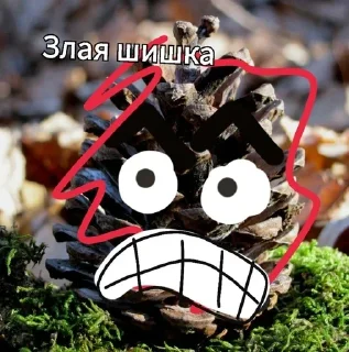 😱 emoji На колени перед шишкой Telegram sticker 6 of 15