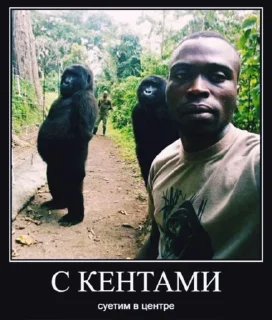 Sticker from Блять че за хуйня