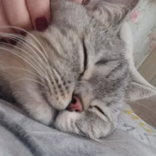 😴 emoji Тифаня Telegram sticker 11 of 24