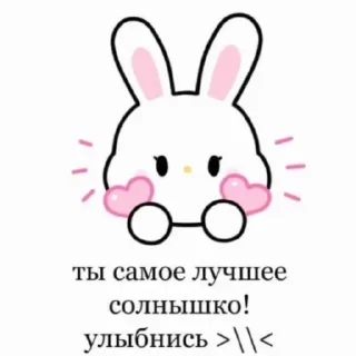 🐇 emoji Для заи и солнце Telegram sticker 9 of 44