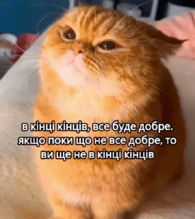 🌟 emoji Дізморальщина Telegram sticker 7 of 76