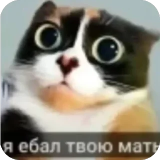 🫥 emoji свага Telegram sticker 16 of 78