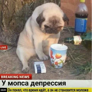 😞 emoji кринге пак Telegram sticker 9 of 118