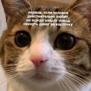 💵 emoji хуй Telegram sticker 18 of 104