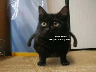 🤬 emoji хуй Telegram sticker 19 of 104