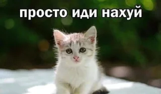 Sticker from сониэриксон ненавидит людей