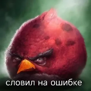 🌟 emoji очень злые птички Telegram sticker 24 of 35