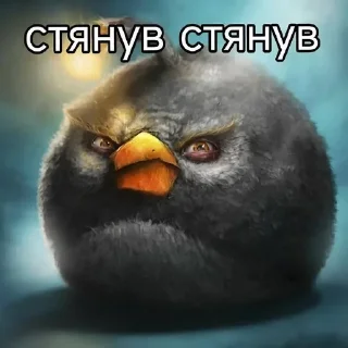 🌟 emoji очень злые птички Telegram sticker 20 of 35