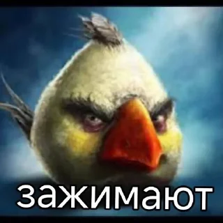 🌟 emoji очень злые птички Telegram sticker 22 of 35