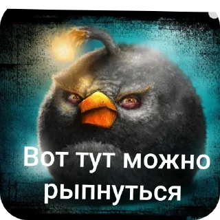 🐦 emoji Злые птички Telegram sticker 14 of 18