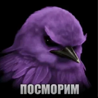 🦜 emoji птички delux edition Telegram sticker 22 of 66