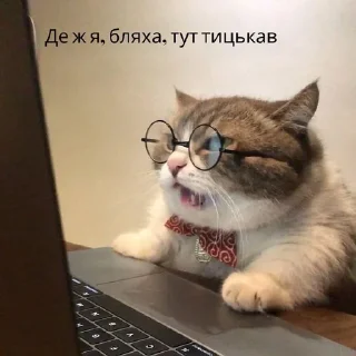 🤯 emoji Кітики🐱 Telegram sticker 9 of 26