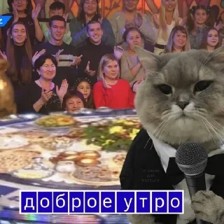 🌟 emoji спок нок Telegram sticker 10 of 50