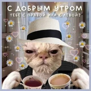 💊 emoji спок нок Telegram sticker 7 of 50