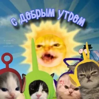 🥴 emoji спок нок Telegram sticker 9 of 50