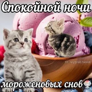 🍨 emoji спок нок Telegram sticker 24 of 50