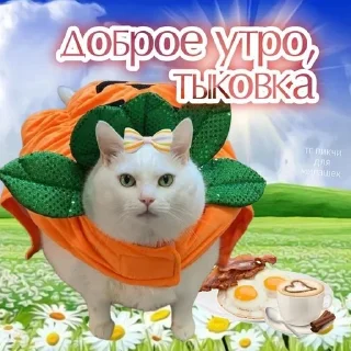 😋 emoji спок нок Telegram sticker 8 of 50
