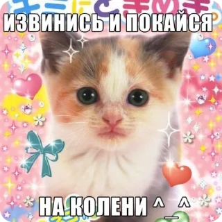 🌟 emoji Мемы про котиков Telegram sticker 10 of 66