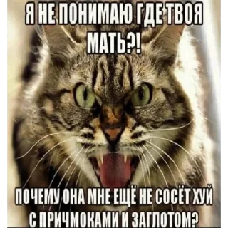 🤨 emoji дерьмище от @shit_amare Telegram sticker 21 of 59