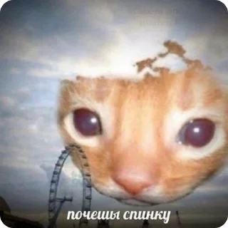 🌟 emoji Мемы про котиков Telegram sticker 9 of 66