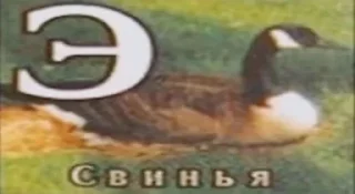 Sticker from Вова голый