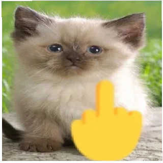 🖕 emoji Для общения Telegram sticker 5 of 13