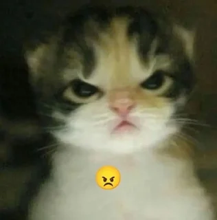 🍒 emoji Я и ты <3 Telegram sticker 9 of 120
