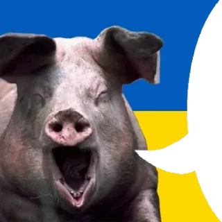 😏 emoji Боевые картиночки @xoxolstick Telegram sticker 18 of 120