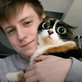 😊 emoji меллстройность Telegram sticker 12 of 120