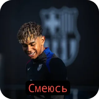 🧥 emoji Хароши стикер Telegram sticker 5 of 6