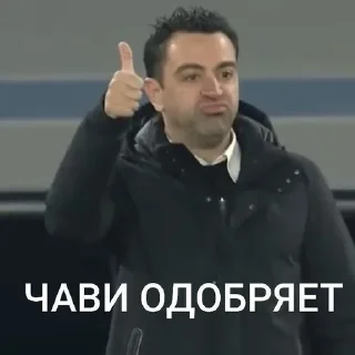 👍 emoji БЕЗДАРЬ ЧАВИ Telegram sticker 13 of 36