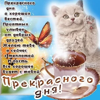 ❤ emoji Хорошего дня отличного настрое Telegram sticker 17 of 55